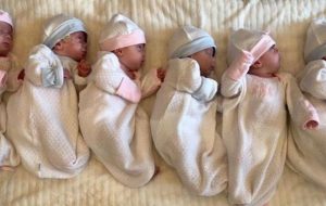 زنگ خطر نرخ تولد در کهگیلویه و بویراحمد به صدا درآمد/ سه استان دارای کمترین موالید در سال ۱۴۰۱ زنگ خطر نرخ تولد در کهگیلویه و بویراحمد به صدا درآمد/ سه استان دارای کمترین موالید در سال ۱۴۰۱