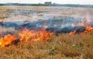 وقوع ۵ فقره آتش‌سوزی در کهگیلویه/گندم‌زارهایی که طعمه حریق شدند
