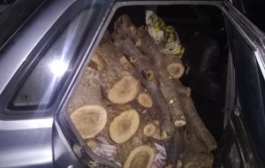 جریمه سنگین قاچاقچی هیزم جنگلی در دهدشت