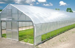 مشکلات کشاورزی کهگیلویه از ۷۰۰ متقاضی تراکتور تا ۳۳ گلخانه بدون سرمایه‌گذار