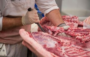 هشدار دامپزشکی کهگیلویه و بویراحمد به مردم؛ تب کریمه کنگو را جدی بگیرید