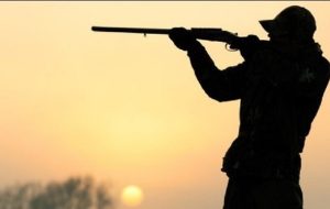 بیرحمی شکارچیان در دنا +تصویر بیرحمی شکارچیان در دنا +تصویر