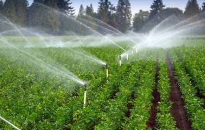 آینده رؤیایی گچساران با ۲ سد از اشتغال ۱۰ هزار نفری تا آبیاری ۱۲ هزار هکتاری آینده رؤیایی گچساران با ۲ سد از اشتغال ۱۰ هزار نفری تا آبیاری ۱۲ هزار هکتاری