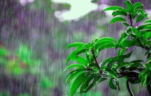 هشدار سطح زرد هواشناسی به کهگیلویه و بویراحمدیها هشدار سطح زرد هواشناسی به کهگیلویه و بویراحمدیها