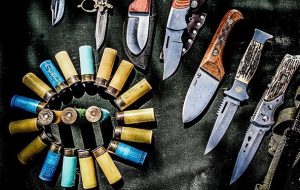 کاهش ۱۰۰ درصدی جرائم خشن در «بهمئی» کاهش ۱۰۰ درصدی جرائم خشن در «بهمئی»