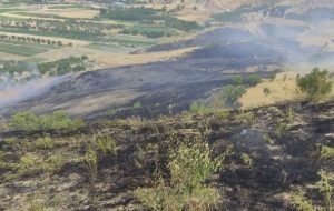 کاهش ۴۰ درصدی آتش سوزی در مناطق حفاظت شده کهگیلویه و بویراحمد کاهش ۴۰ درصدی آتش سوزی در مناطق حفاظت شده کهگیلویه و بویراحمد