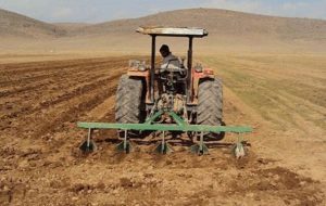 آغاز کشت پاییزه در اراضی کشاورزی کهگیلویه و بویراحمد