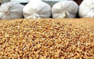 توزیع نهادههای دامی غیرنقدی و مدتدار بین مرغداران کهگیلویه و بویراحمد توزیع نهادههای دامی غیرنقدی و مدتدار بین مرغداران کهگیلویه و بویراحمد