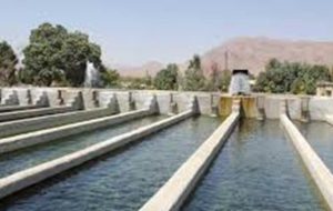 دلیل بیماری در مزرعه های پرورش ماهی دنا دلیل بیماری در مزرعه های پرورش ماهی دنا