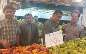 راز گرانی میوه در یاسوج با شیراز گردی مسئولان اصناف+تصویر راز گرانی میوه در یاسوج با شیراز گردی مسئولان اصناف+تصویر