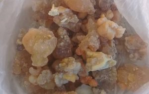 معضلات پیشروی صادرات آنغوزه و باریجه کهگیلویه و بویراحمد معضلات پیشروی صادرات آنغوزه و باریجه کهگیلویه و بویراحمد