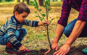 اقدام منابع طبیعی باشت در راستای کاشت ۱ میلیارد درخت اقدام منابع طبیعی باشت در راستای کاشت ۱ میلیارد درخت