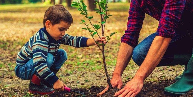 اقدام منابع طبیعی باشت در راستای کاشت ۱ میلیارد درخت اقدام منابع طبیعی باشت در راستای کاشت ۱ میلیارد درخت