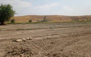 خبر خوب| رفع تصرف ۴۶ هکتار از اراضی ملی در کهگیلویه خبر خوب| رفع تصرف ۴۶ هکتار از اراضی ملی در کهگیلویه