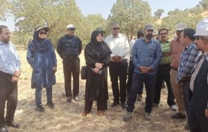 پاسخ مسئولان میراث فرهنگی به فعالان زیست محیطی پیرامون سد خرسان ۳+تصویر