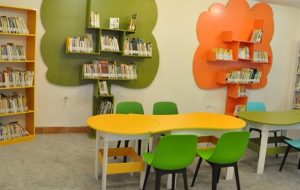 آخرین وضعیت کتابخانه‌های دنا از ۵۴ هزار کتاب تا فعال بودن ۷ باب کتابخانه