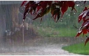 آمادهباش کامل دستگاههای اجرایی کهگیلویه آمادهباش کامل دستگاههای اجرایی کهگیلویه