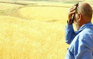 اعتراض کشاورزان منطقه مختار بویراحمد به تبعیض