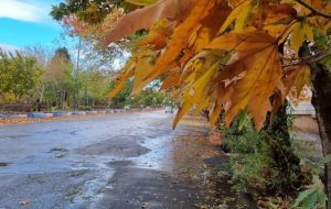 اعلام میزان بارش باران در نقاط مختلف کهگیلویه و بویراحمد اعلام میزان بارش باران در نقاط مختلف کهگیلویه و بویراحمد