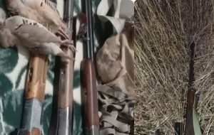 جزئیات دستگیری ۲ گروه متخلف شکارچی در دنا