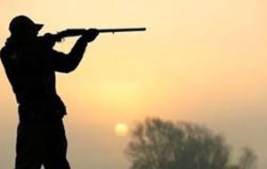 دستگیری شکارچیان تیهو و ماهی در گچساران