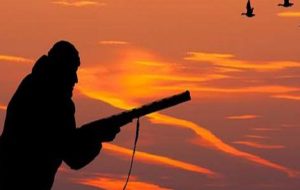 شکار بیرحمانه در کوه دیل+تصویر شکار بیرحمانه در کوه دیل+تصویر