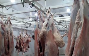 مشکلات کشتارگاه دهدشت ۴۰ ساله شد مشکلات کشتارگاه دهدشت ۴۰ ساله شد