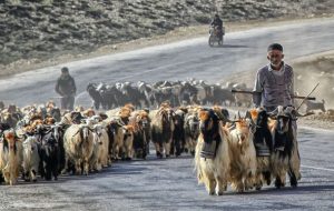 نیاز مبرم ۵۱۰ خانوارعشایری باشت چیست؟