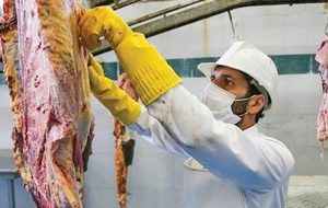 حکم سنگین روی پیشخوان قصاب متخلف یاسوجی حکم سنگین روی پیشخوان قصاب متخلف یاسوجی