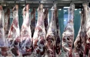 قصاب گرانفروش در گچساران نقره داغ شد