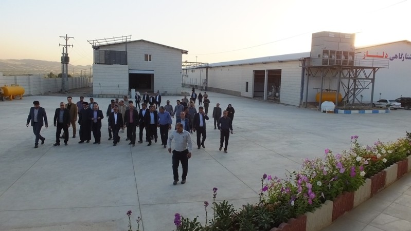 حواشی بازدید استاندار کهگیلویه و بویراحمد از پروژه‌های گچساران+ تصاویر