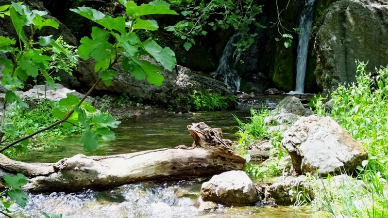 رود رونه، بهشت زیبای جنوب ایران+ تصاویر