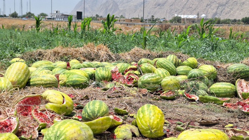 درخواست عاجزانه کشاورزان گچسارانی از کامیون‌داران
