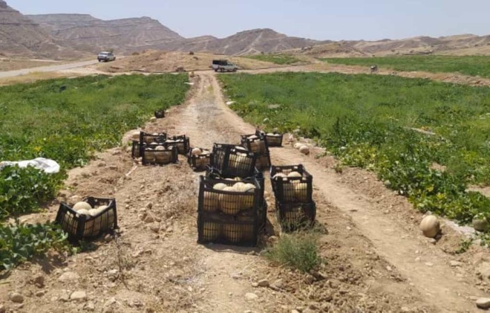 صدای کشاورزان خیرآباد گچساران هم درآمد+ تصاویر