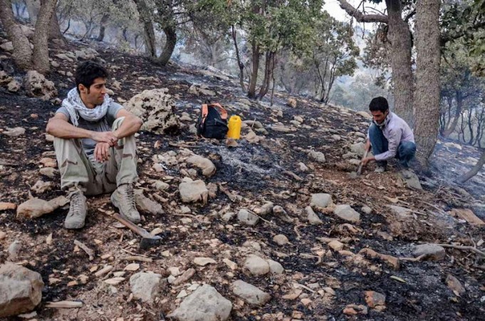 «کوه مورد» در کهگیلویه و بویراحمد آرام گرفت