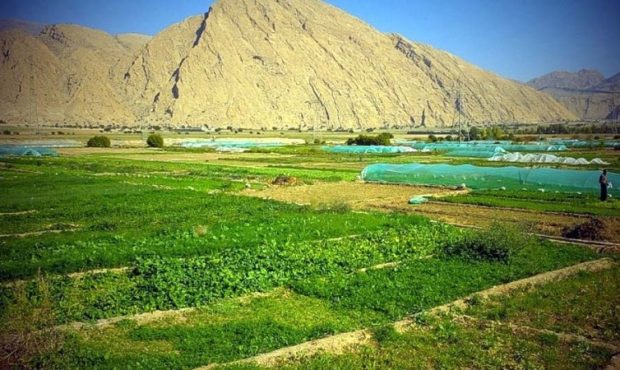 کشاورزان دشت «امامزاده جعفر» در انتظار آب پایدار+ تصاویر