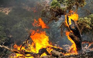 آتش‌سوزی در ارتفاعات «کوه کارد» مهار شد