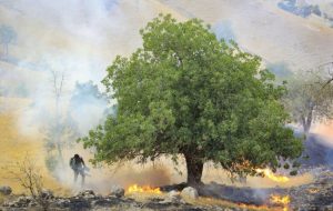 آتش‌سوزی گسترده در ارتفاعات «گناوه» گچساران