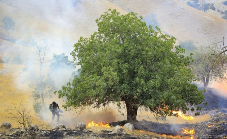 آتشسوزی گسترده در ارتفاعات «گناوه» گچساران آتشسوزی گسترده در ارتفاعات «گناوه» گچساران