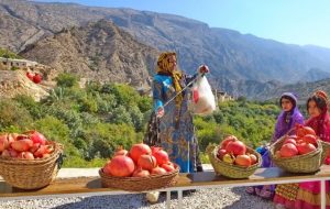 نخستین «جشنواره انار» در مارین گچساران+ تصاویر