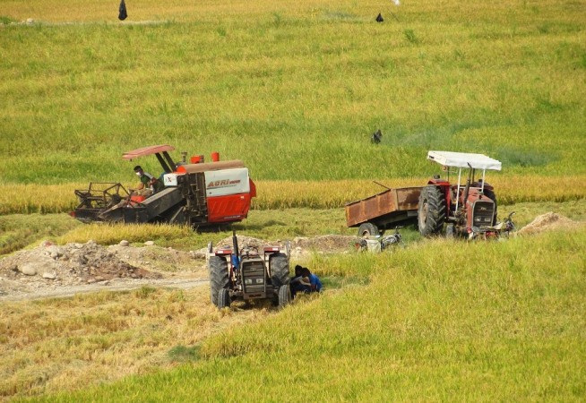 سالی پربرکت برای شالیکاران گچساران+ فیلم سالی پربرکت برای شالیکاران گچساران+ فیلم