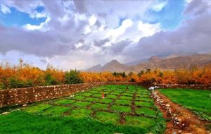 آخرین نفس‌های پاییز در روستای دیل گچساران