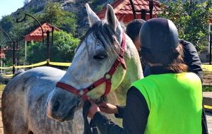 مسابقات سوارکاری استقامت در گچساران