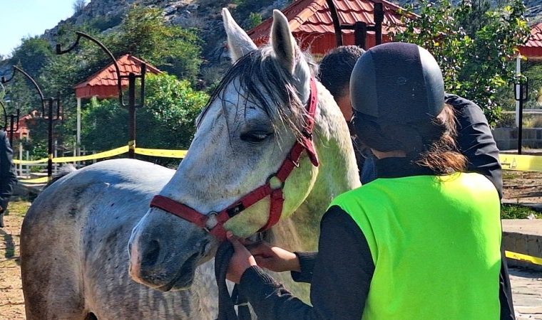 مسابقات سوارکاری استقامت در گچساران