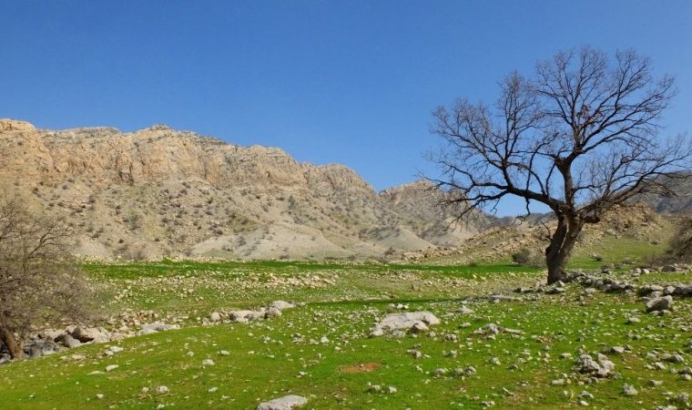 جلوههای تماشایی طبیعت گچساران جلوههای تماشایی طبیعت گچساران