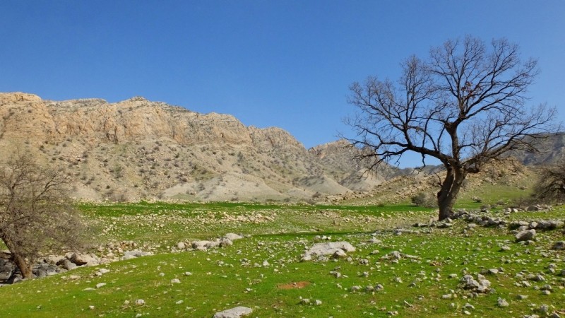 جلوه‌های تماشایی طبیعت گچساران