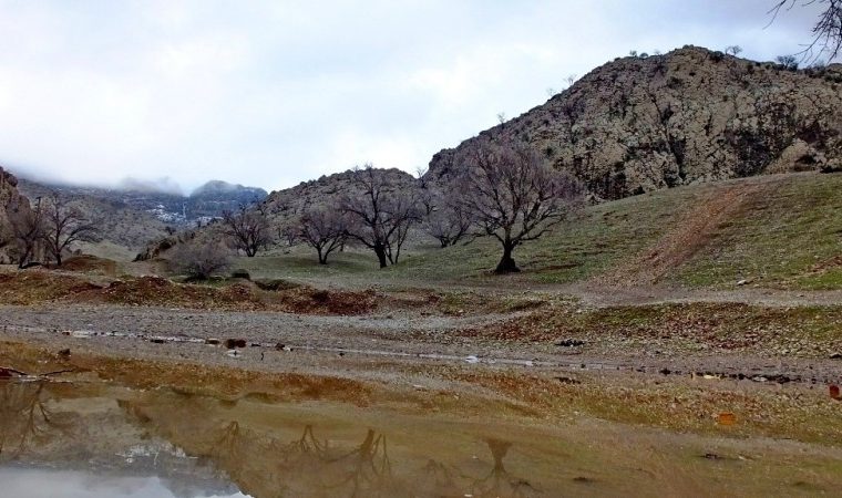 طبیعت تماشایی گچساران در آغوش باران
