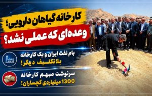 سرنوشت مبهم کارخانه «گیاهان دارویی» گچساران!+ تصاویر
