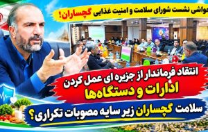 انتقاد فرماندار گچساران از عملکرد جزیره‌ای دستگاه‌های اجرایی!