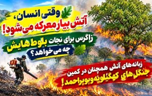 زبانههای آتش همچنان در کمین جنگلهای کهگیلویهوبویراحمد! زبانههای آتش همچنان در کمین جنگلهای کهگیلویهوبویراحمد!
